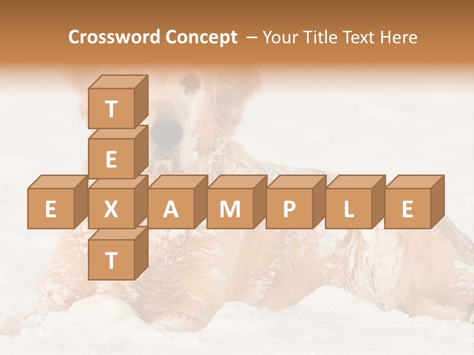 Cold Pet Happy PowerPoint Template