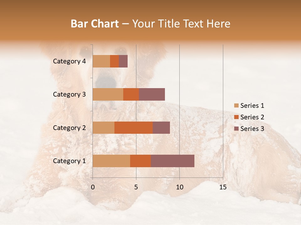Cold Pet Happy PowerPoint Template