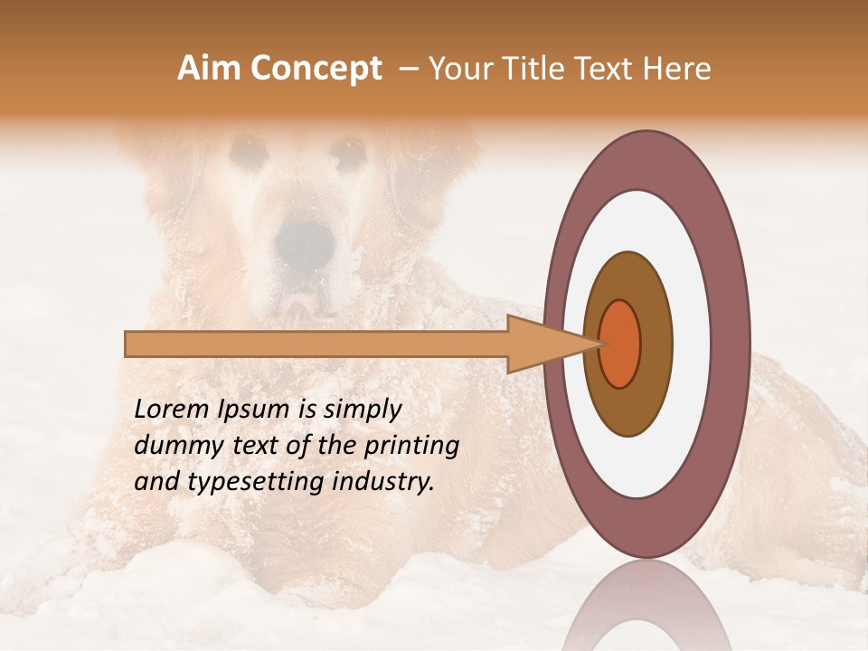 Cold Pet Happy PowerPoint Template