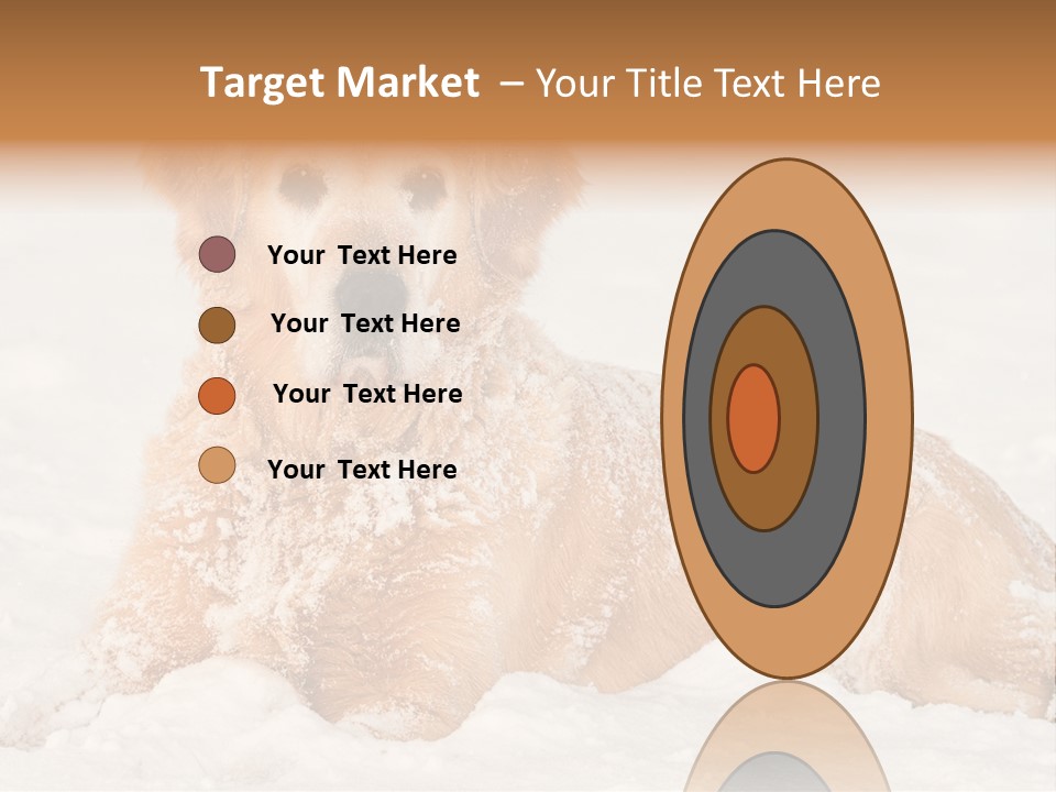 Cold Pet Happy PowerPoint Template