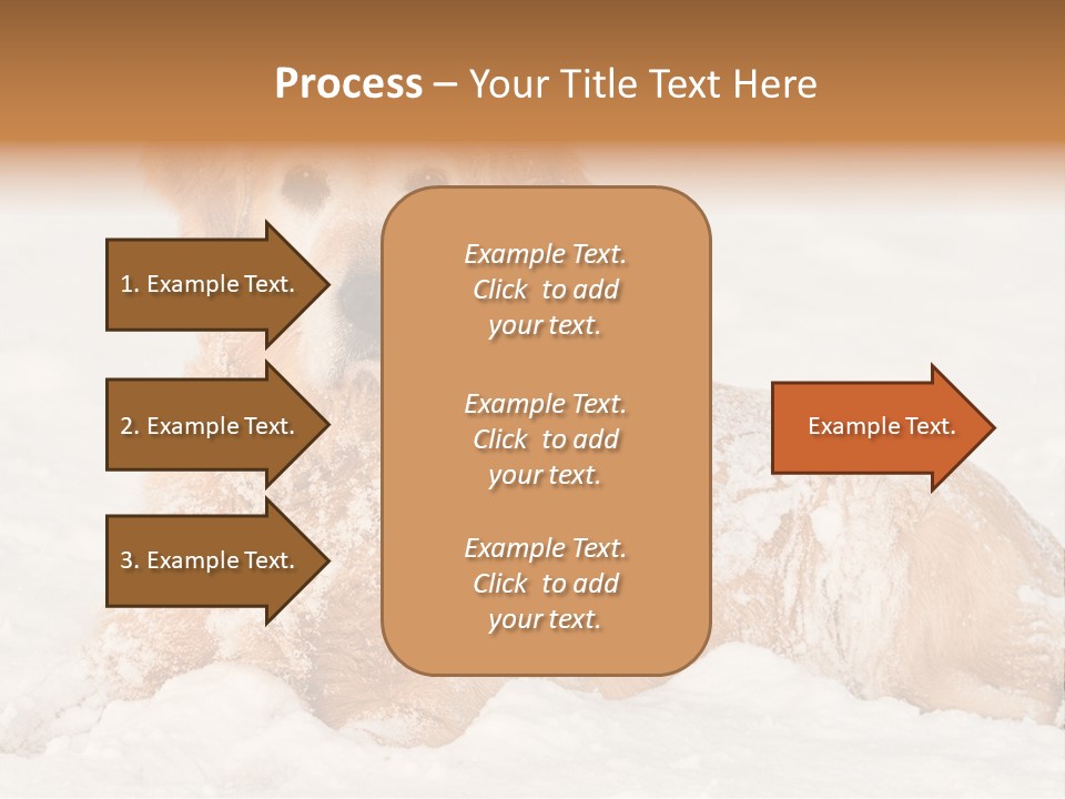 Cold Pet Happy PowerPoint Template