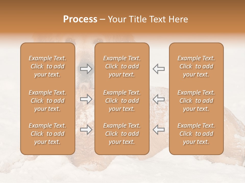 Cold Pet Happy PowerPoint Template