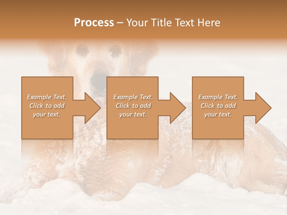 Cold Pet Happy PowerPoint Template