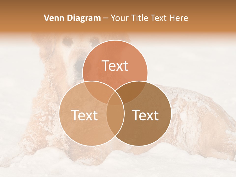 Cold Pet Happy PowerPoint Template