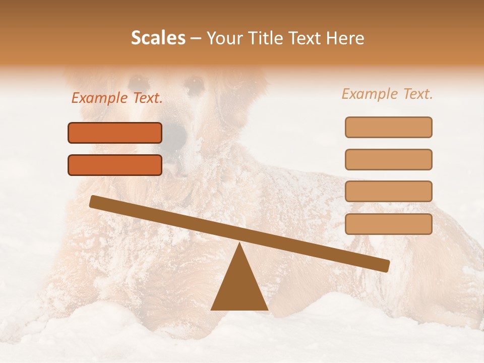 Cold Pet Happy PowerPoint Template