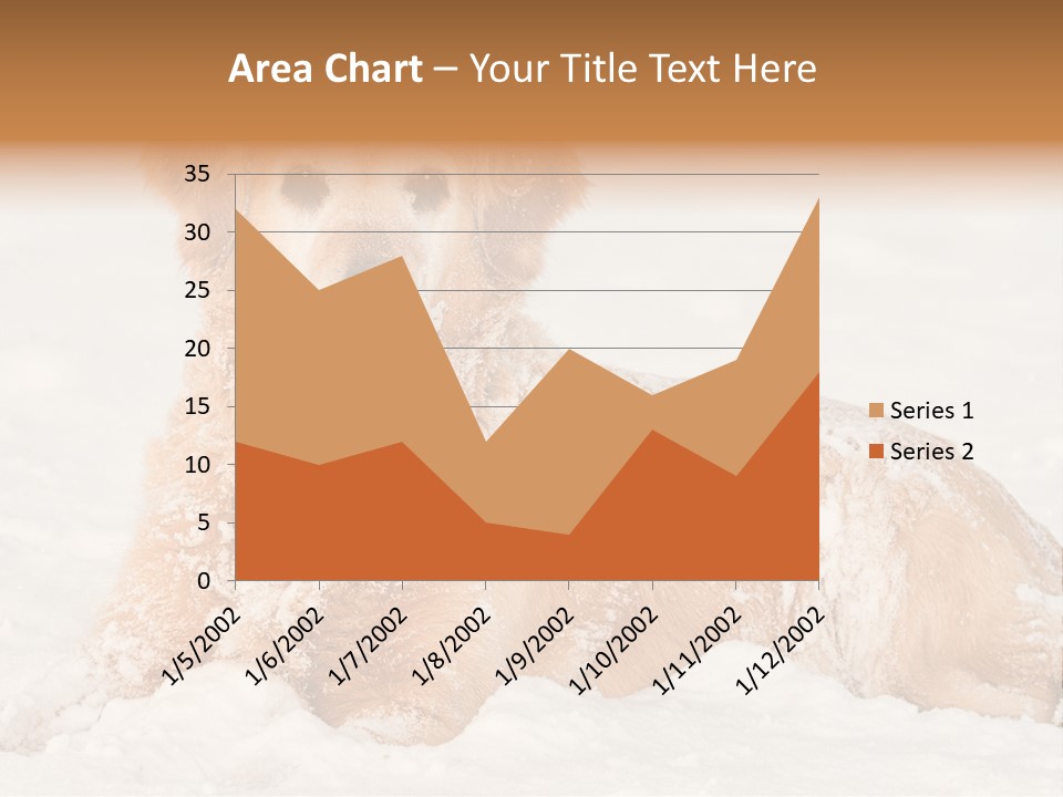 Cold Pet Happy PowerPoint Template