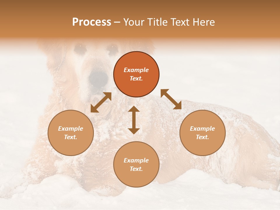 Cold Pet Happy PowerPoint Template