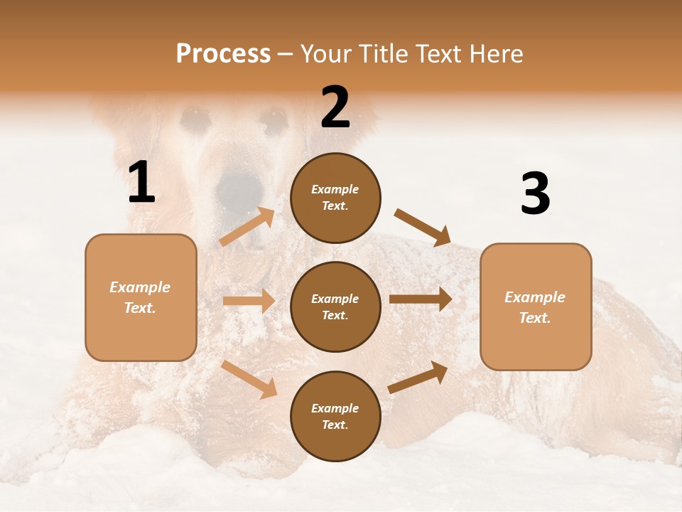 Cold Pet Happy PowerPoint Template