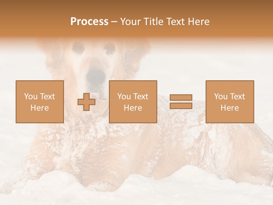 Cold Pet Happy PowerPoint Template