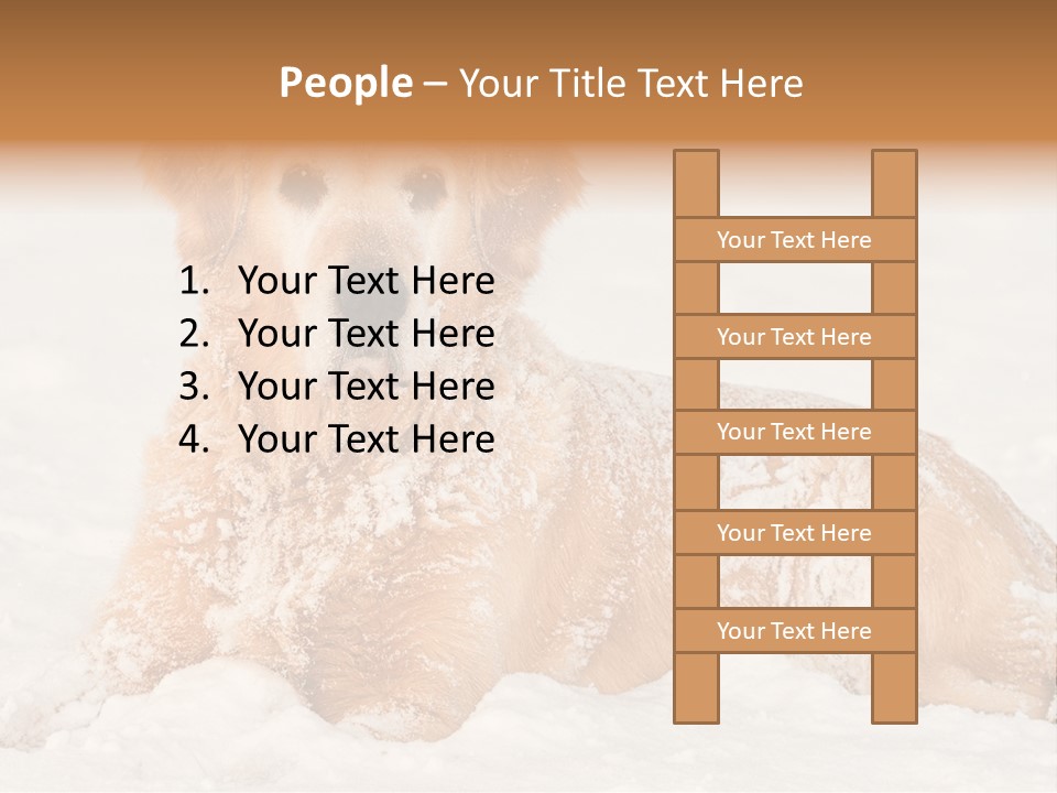 Cold Pet Happy PowerPoint Template