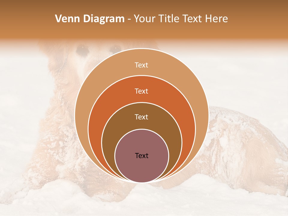 Cold Pet Happy PowerPoint Template