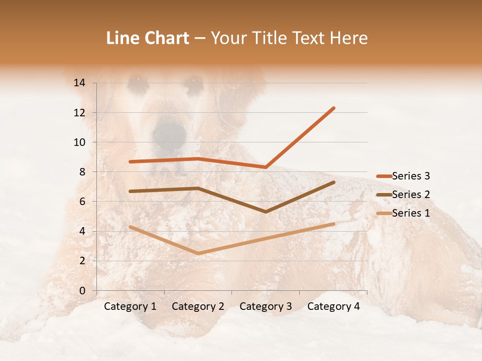 Cold Pet Happy PowerPoint Template