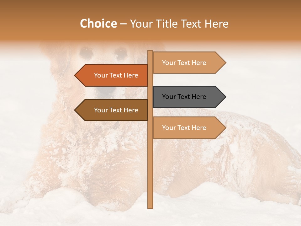 Cold Pet Happy PowerPoint Template