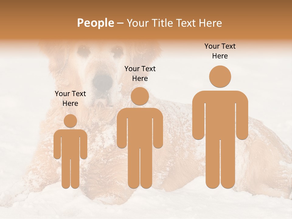 Cold Pet Happy PowerPoint Template