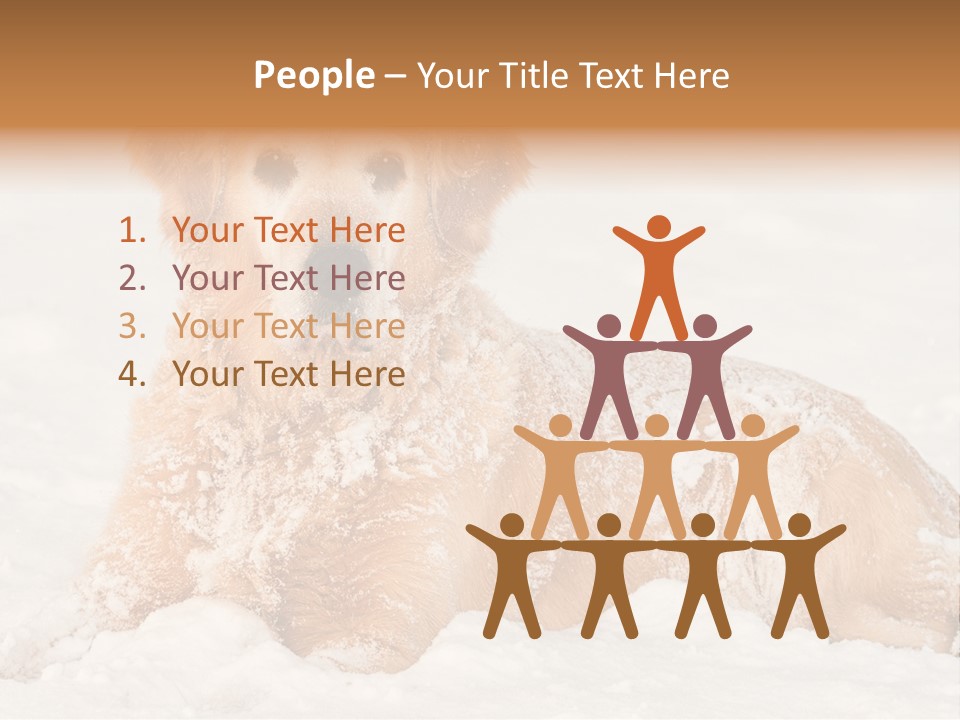 Cold Pet Happy PowerPoint Template