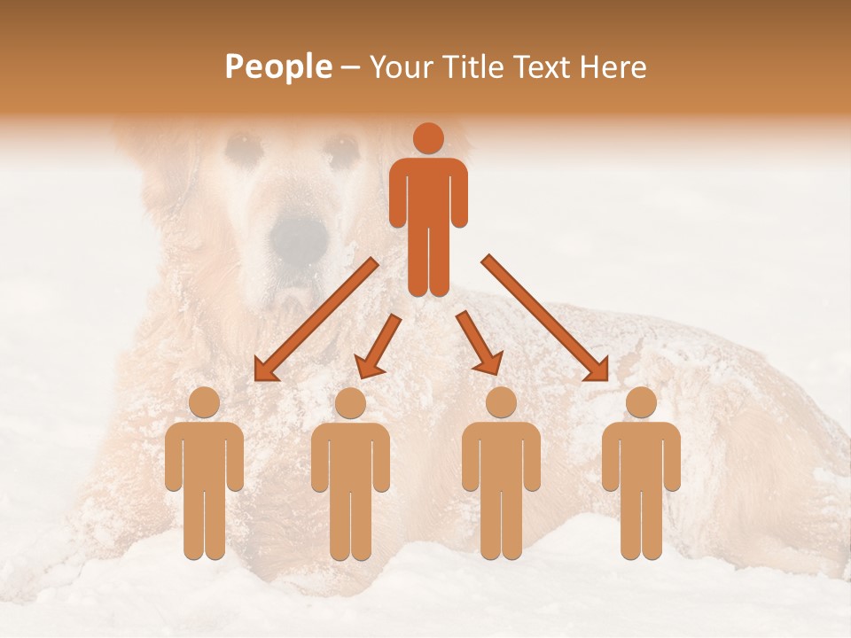 Cold Pet Happy PowerPoint Template