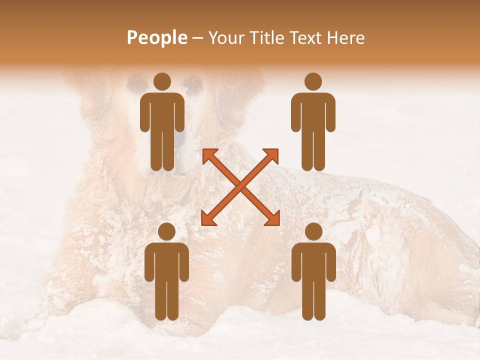 Cold Pet Happy PowerPoint Template