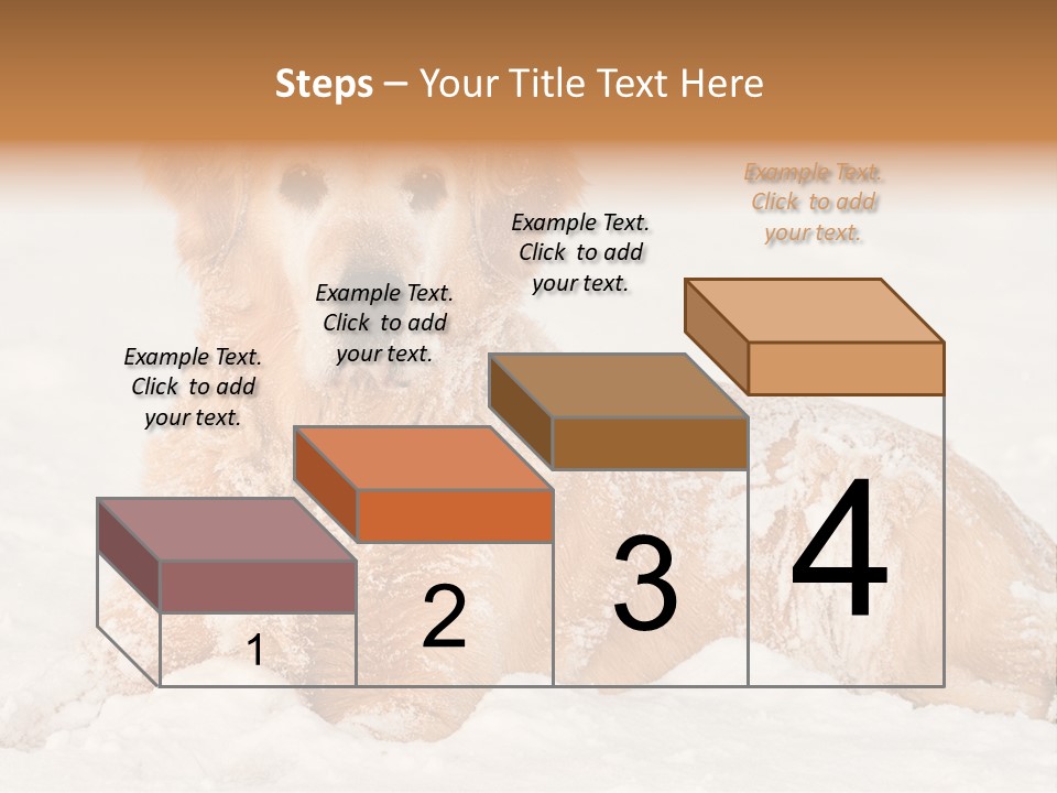 Cold Pet Happy PowerPoint Template