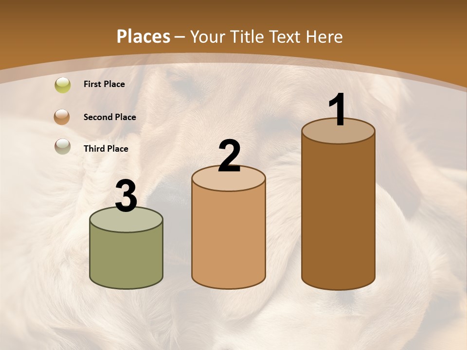 Asleep Brown Camera PowerPoint Template