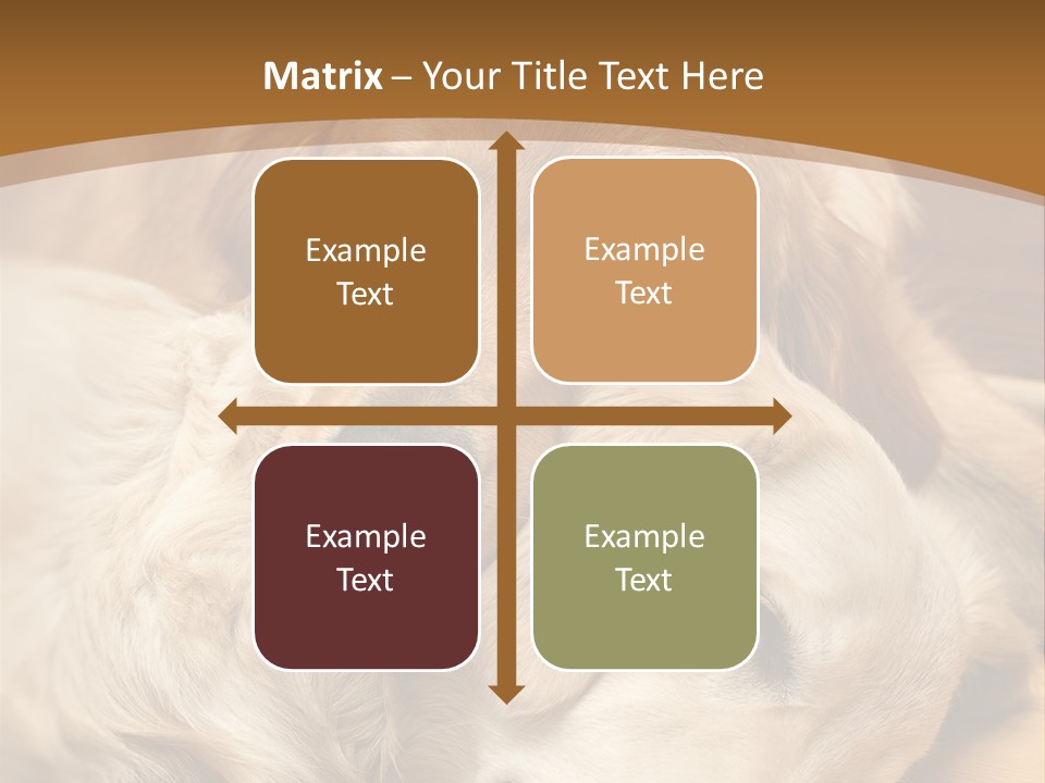 Asleep Brown Camera PowerPoint Template