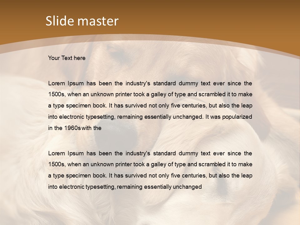 Asleep Brown Camera PowerPoint Template