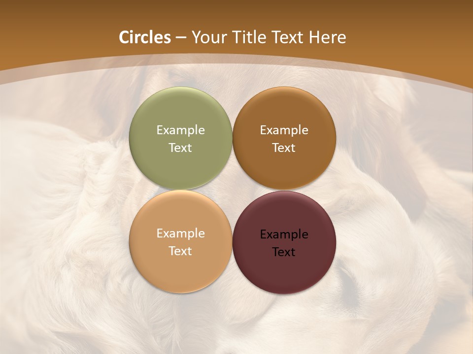 Asleep Brown Camera PowerPoint Template