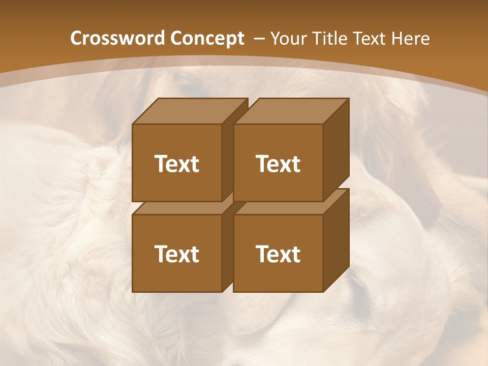 Asleep Brown Camera PowerPoint Template