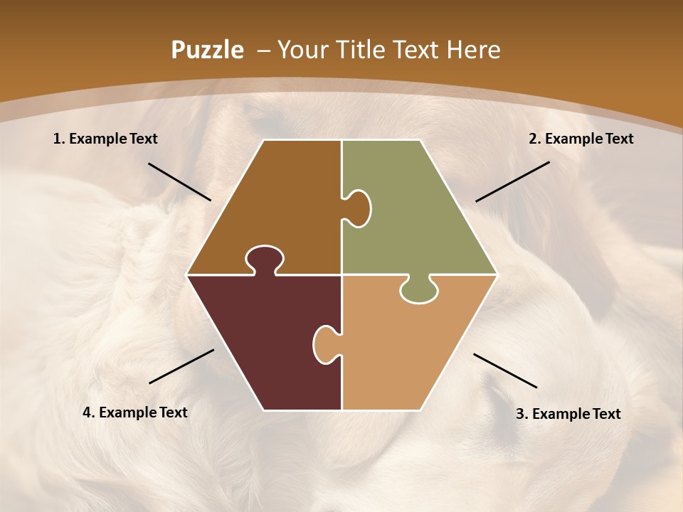 Asleep Brown Camera PowerPoint Template