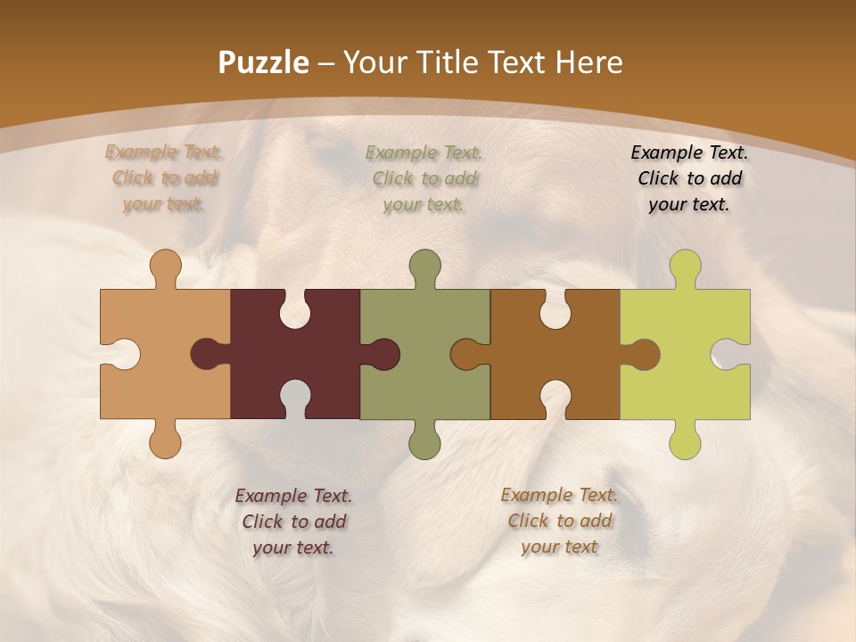 Asleep Brown Camera PowerPoint Template