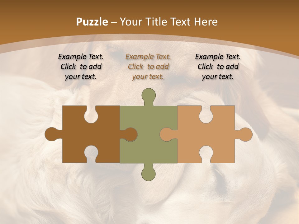 Asleep Brown Camera PowerPoint Template