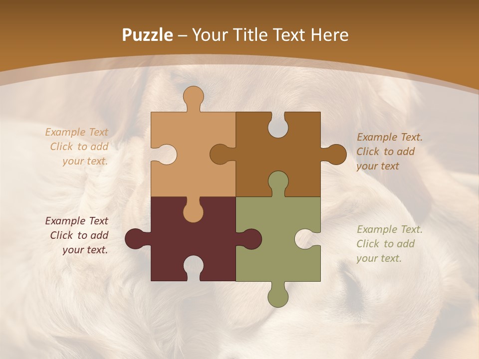 Asleep Brown Camera PowerPoint Template