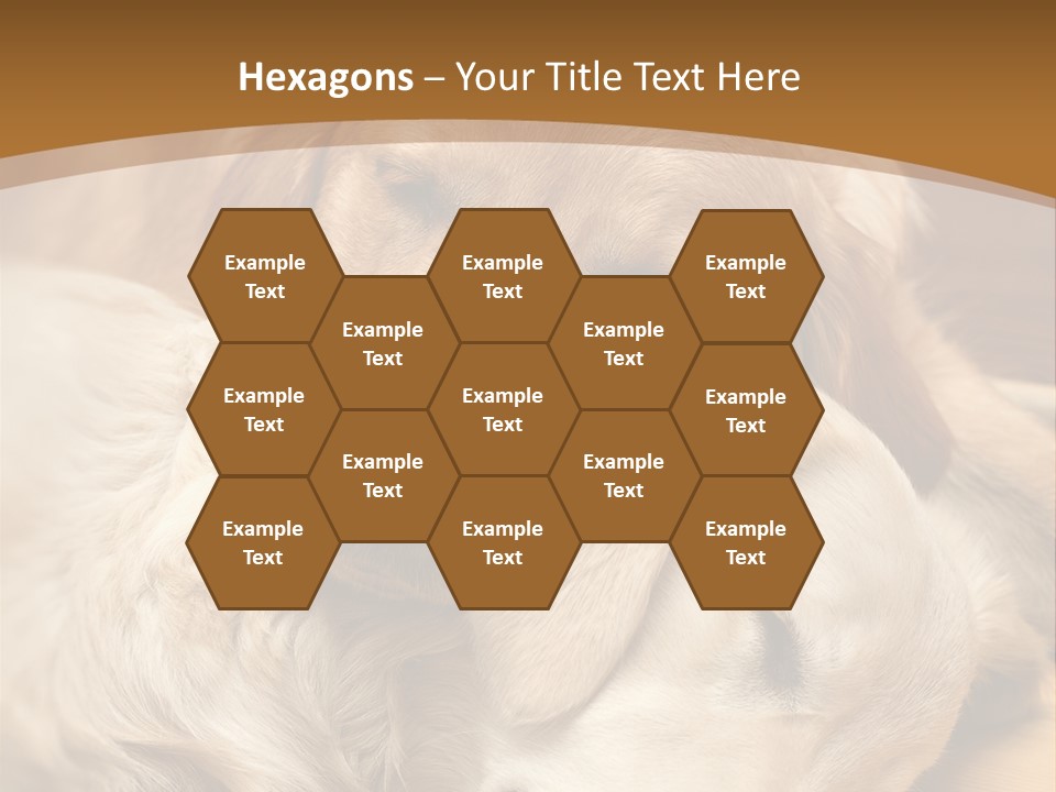 Asleep Brown Camera PowerPoint Template