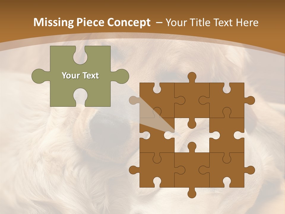 Asleep Brown Camera PowerPoint Template