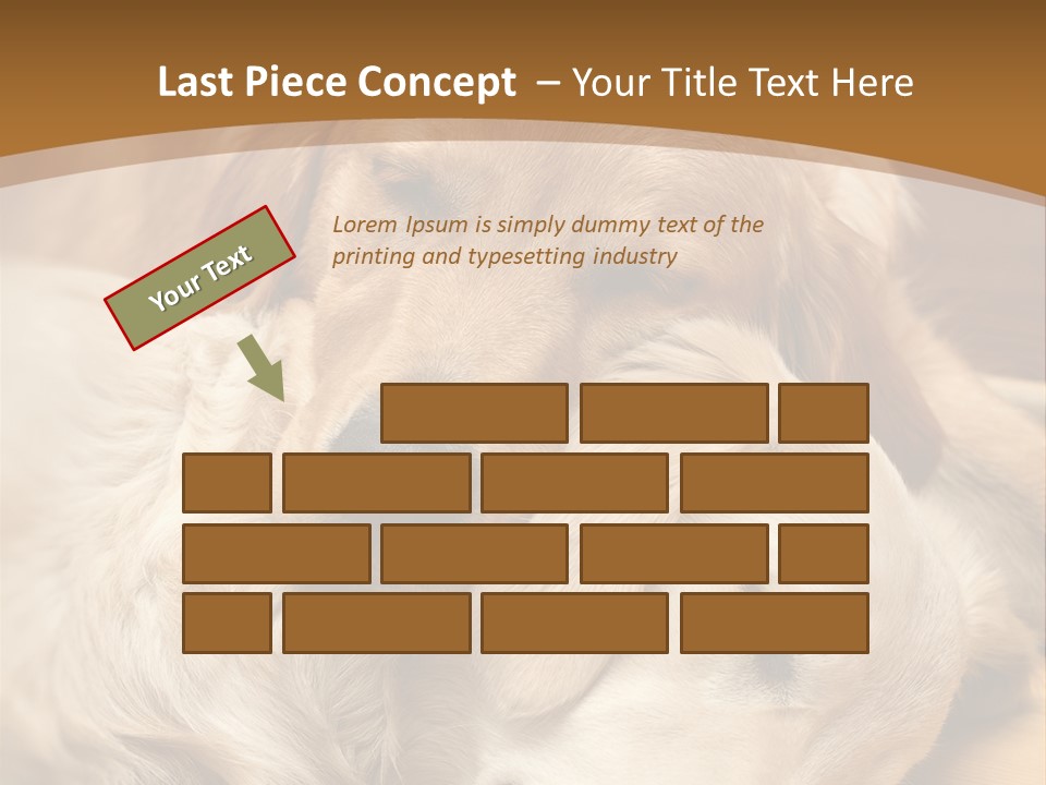 Asleep Brown Camera PowerPoint Template