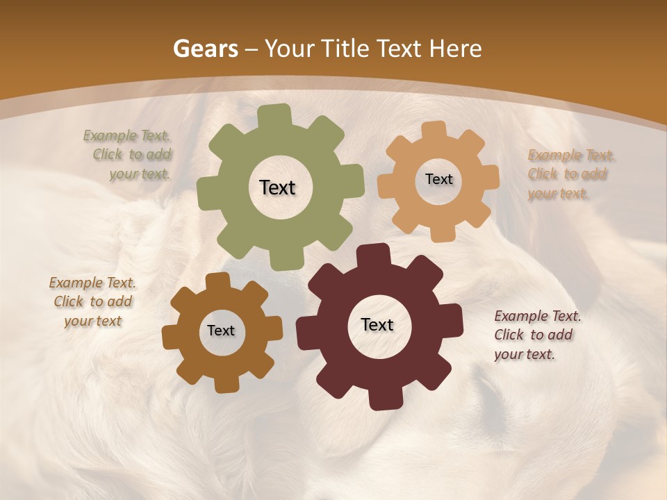 Asleep Brown Camera PowerPoint Template