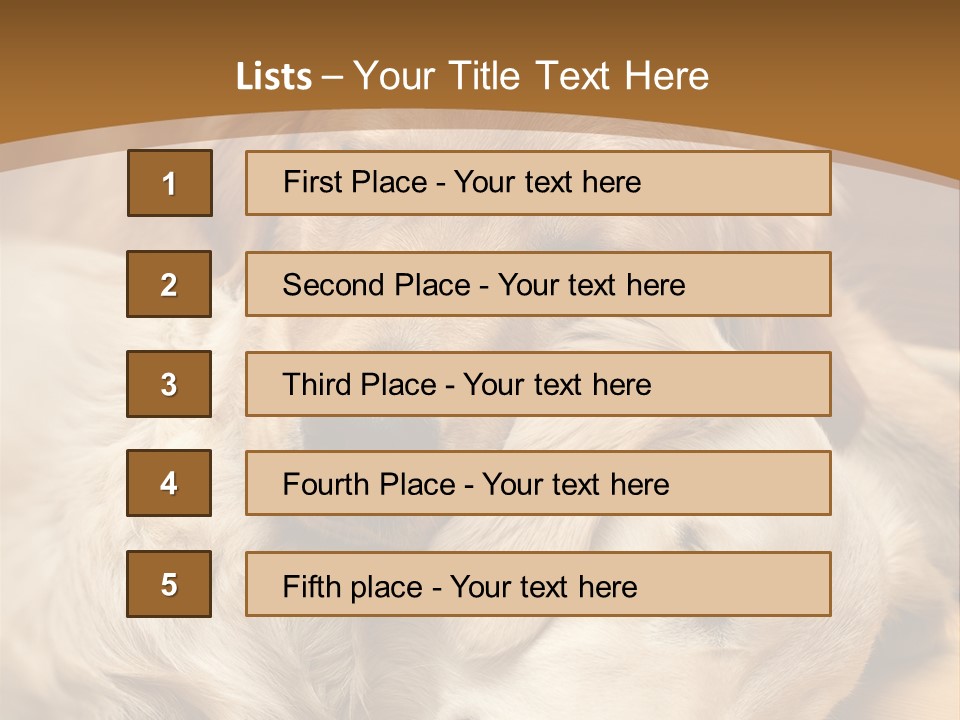 Asleep Brown Camera PowerPoint Template