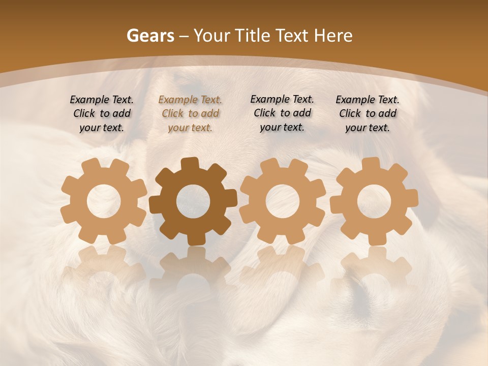 Asleep Brown Camera PowerPoint Template