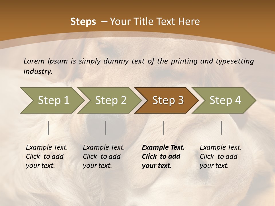 Asleep Brown Camera PowerPoint Template