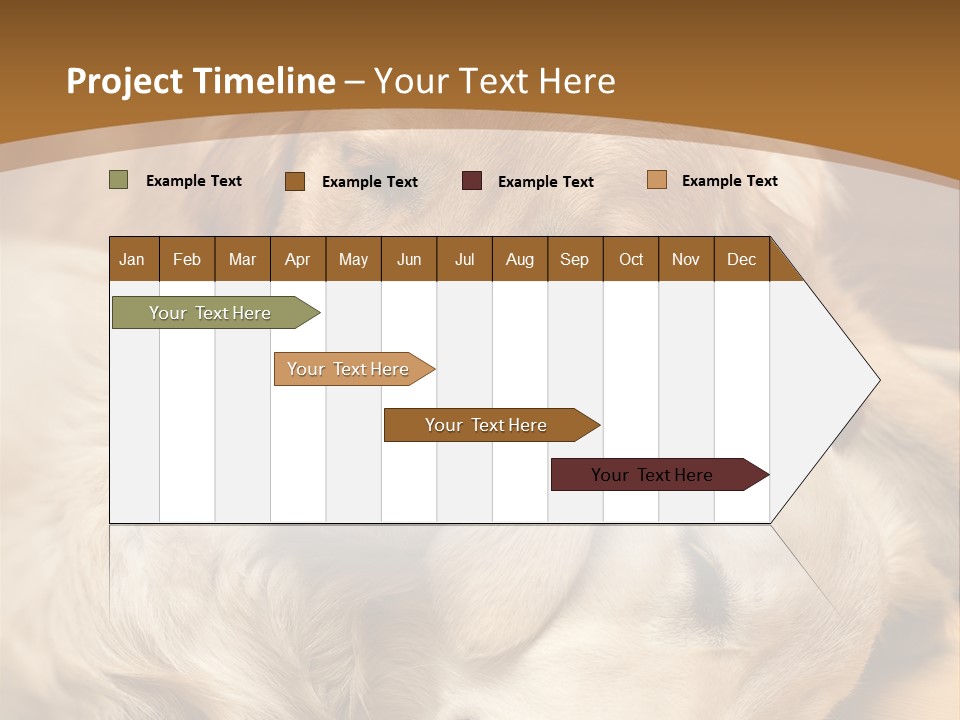 Asleep Brown Camera PowerPoint Template