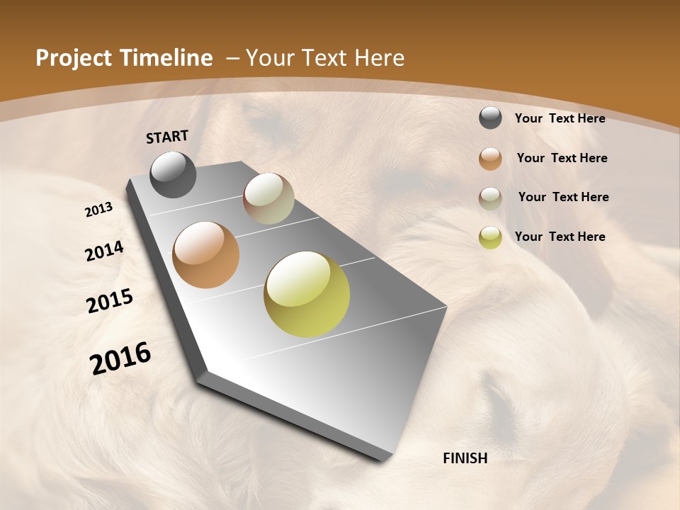 Asleep Brown Camera PowerPoint Template