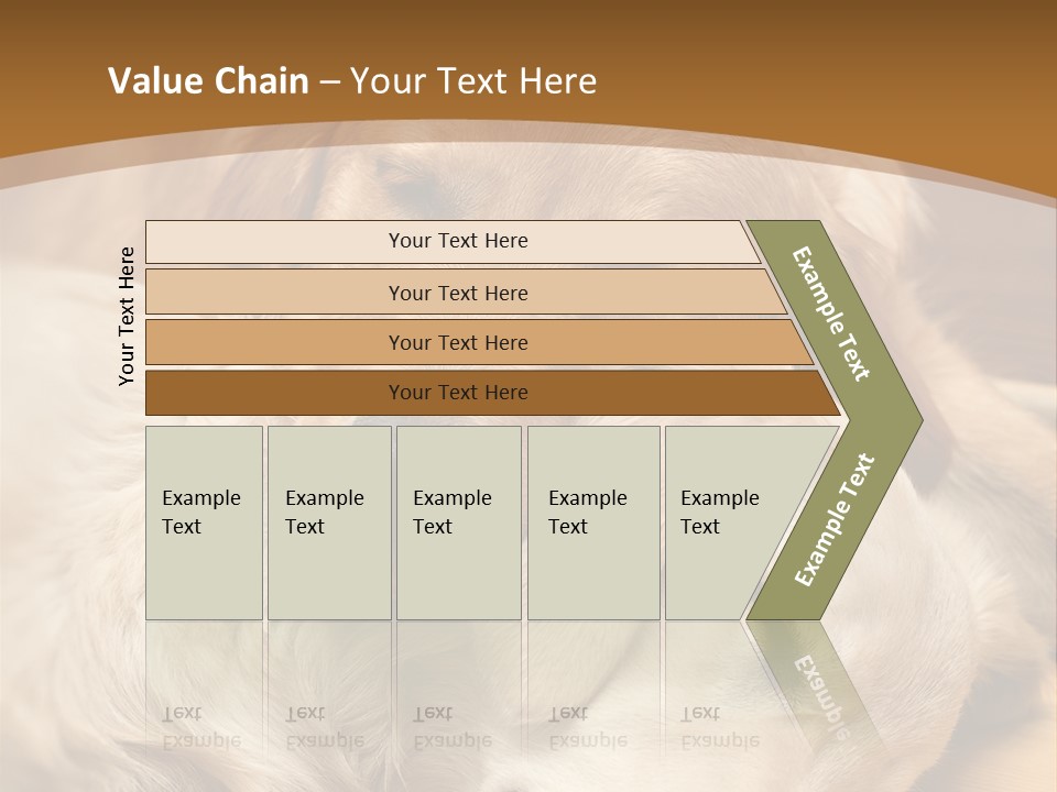 Asleep Brown Camera PowerPoint Template