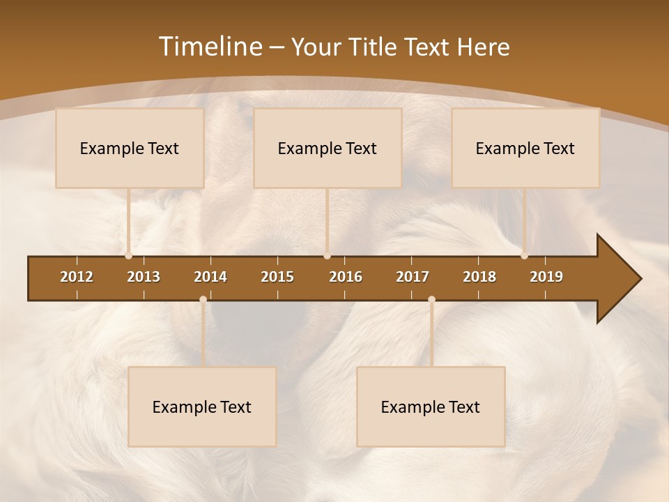 Asleep Brown Camera PowerPoint Template