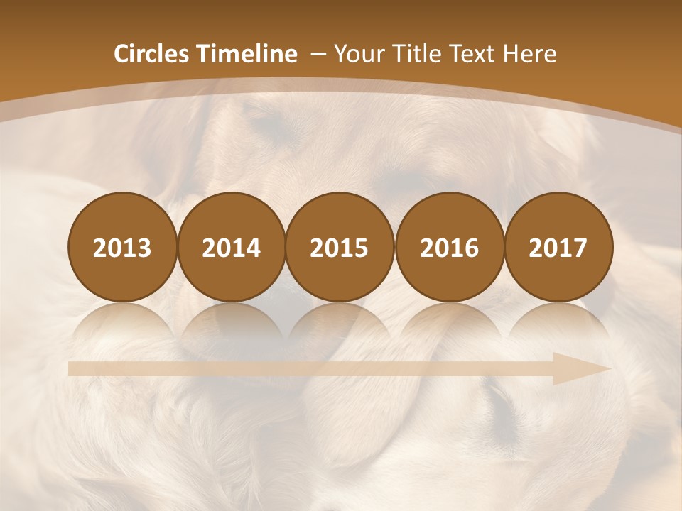 Asleep Brown Camera PowerPoint Template