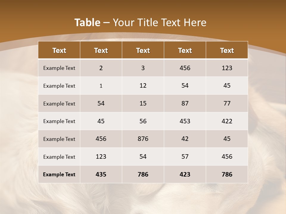 Asleep Brown Camera PowerPoint Template