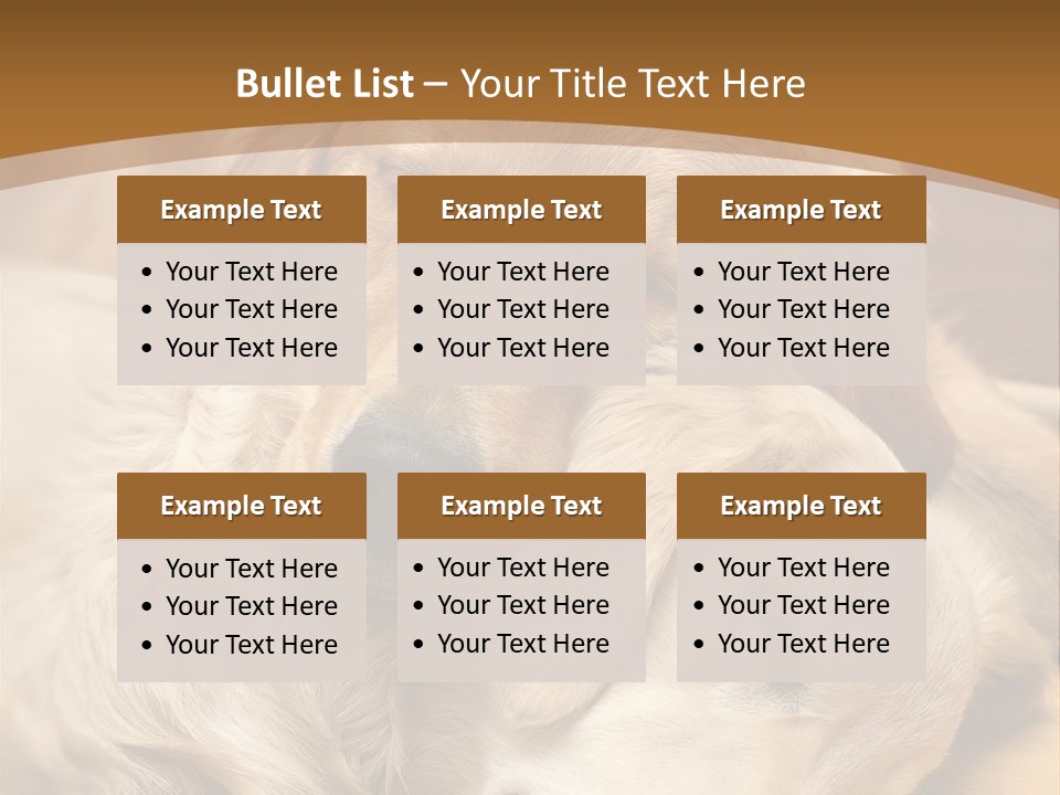 Asleep Brown Camera PowerPoint Template