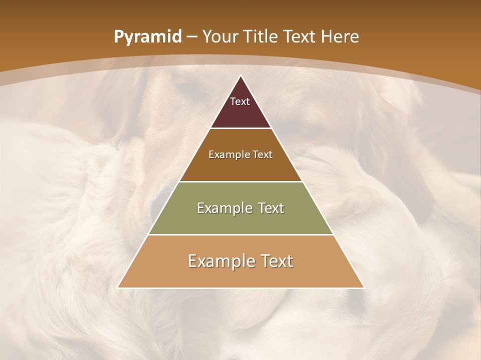 Asleep Brown Camera PowerPoint Template