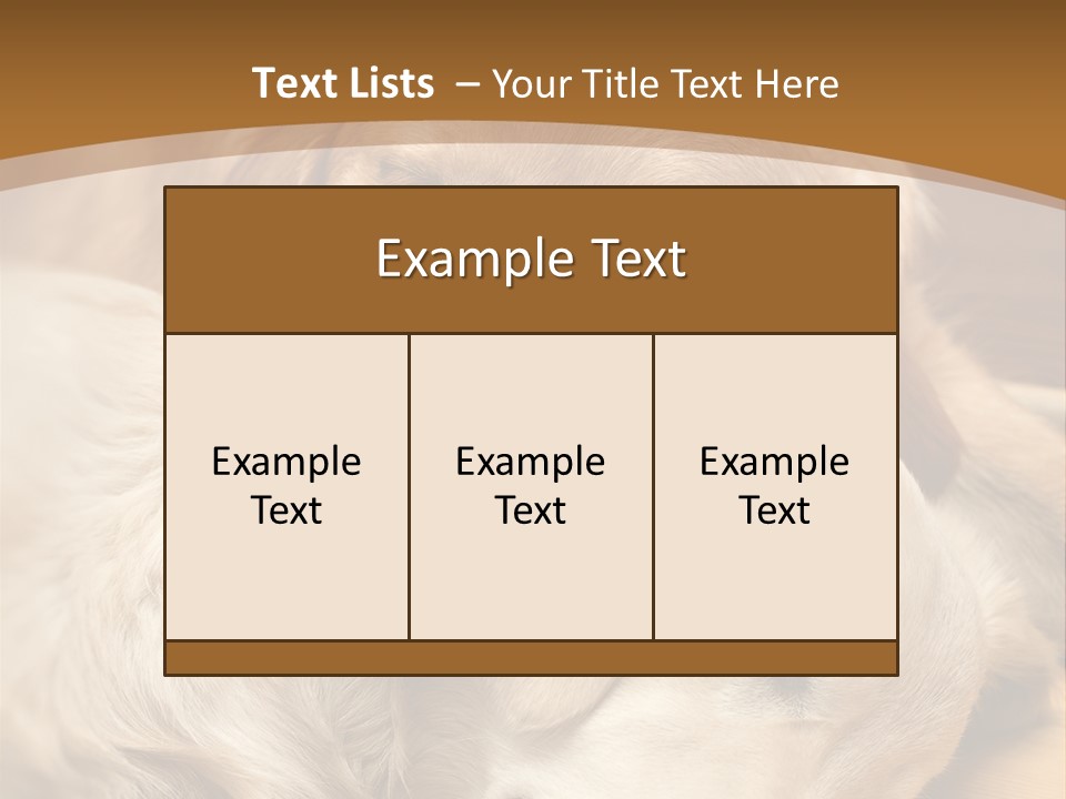 Asleep Brown Camera PowerPoint Template