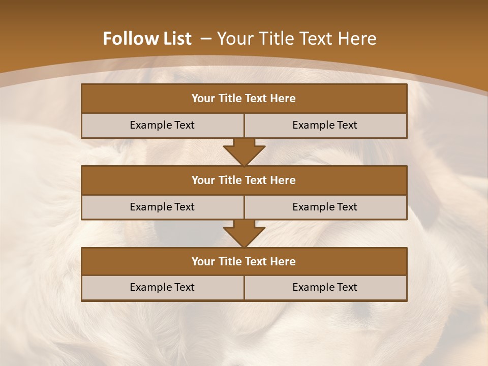 Asleep Brown Camera PowerPoint Template