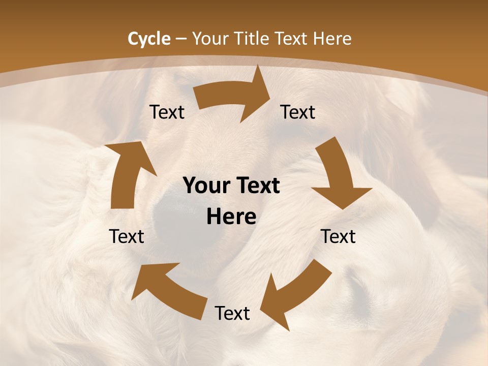 Asleep Brown Camera PowerPoint Template