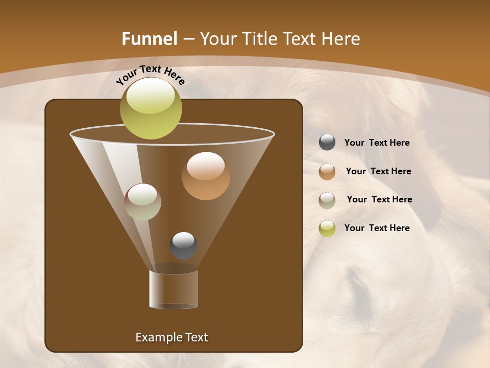 Asleep Brown Camera PowerPoint Template